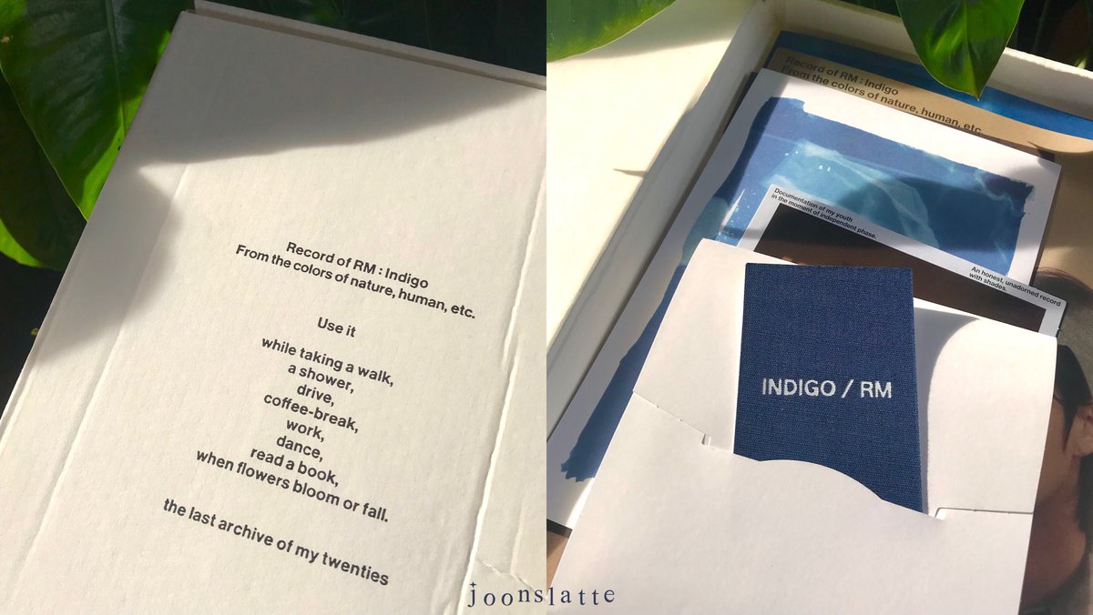 adin ⭑ tweet media