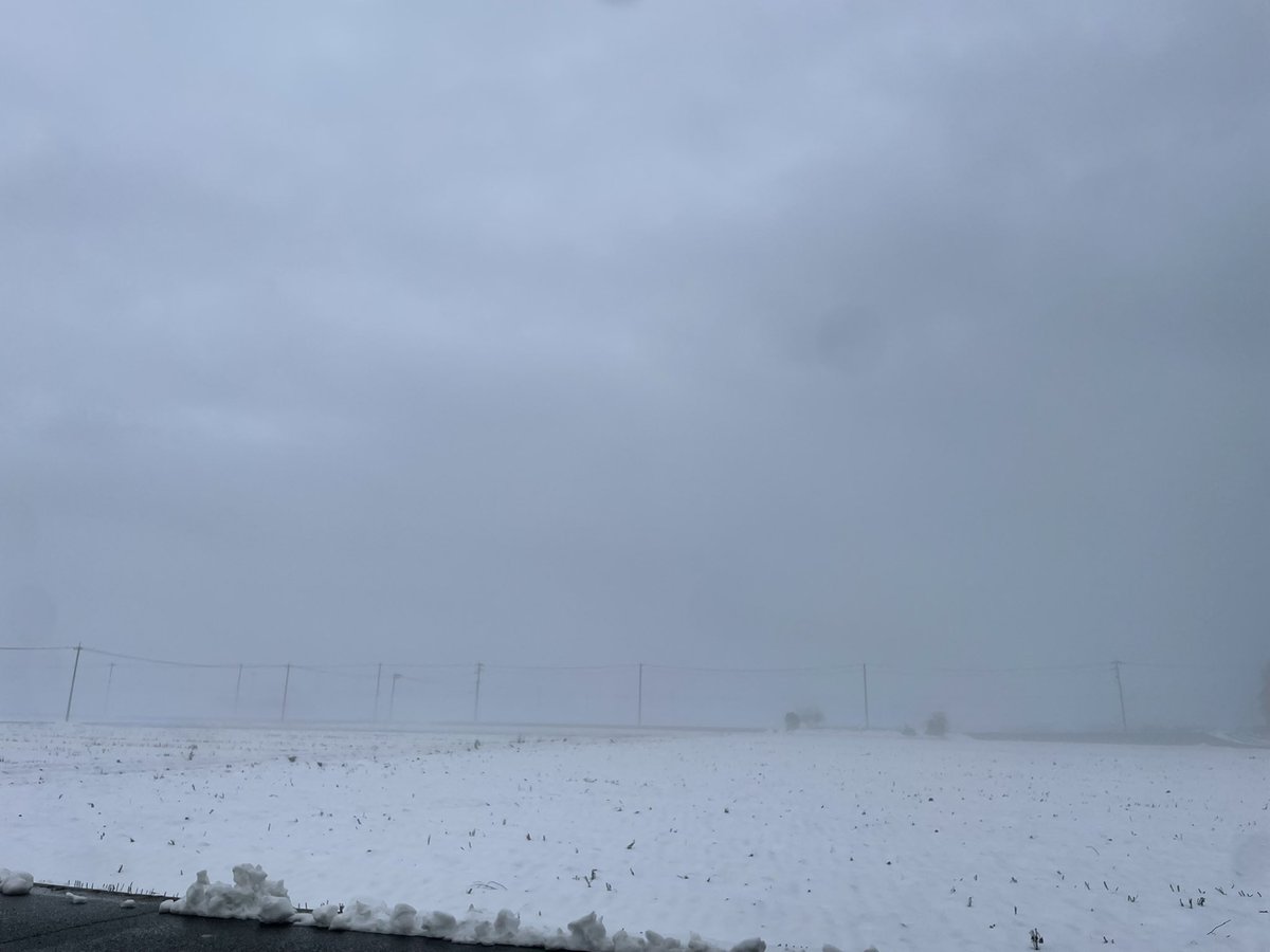 雪と濃霧 https://t.co/C4kmhDsN1J