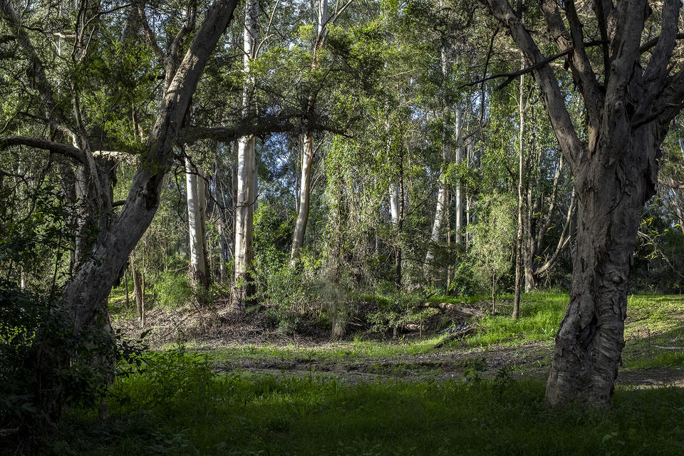 statelibrarynsw's tweet photo. "It’s time to tell a deeper and more truthful story about Darug Country." Marika Duczynski wrote about Dyarubbin, the Hawkesbury River, with the help of #Darug knowledge-holders, artists and educators. #Top10MostRead #Openbook
Read the story: https://t.co/Uq5xy6as2N https://t.co/cH9XxXXrB6