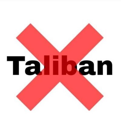 hamidalesani's tweet photo. یادمان نرود ما نه تالب و نه نظام آموزشی تال�� را میخواهیم‌لطفا برای بازگشایی دانشگاهها لابی نکنید برای براندازی حکومت تالب لابی کنید. 
محصلی که مطابق نصاب درسی تالبانی فارغ شود نه دوای درد خود است نه از جامعه
#StopHazaraGenocide 
#BanTaliban https://t.co/pTPoDOoQ0x