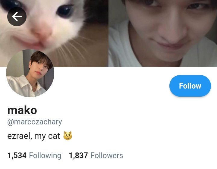 avmuzks's tweet photo. say hello to mako and ezra; married cat &amp; dog #maez https://t.co/xoL5gqN3jV