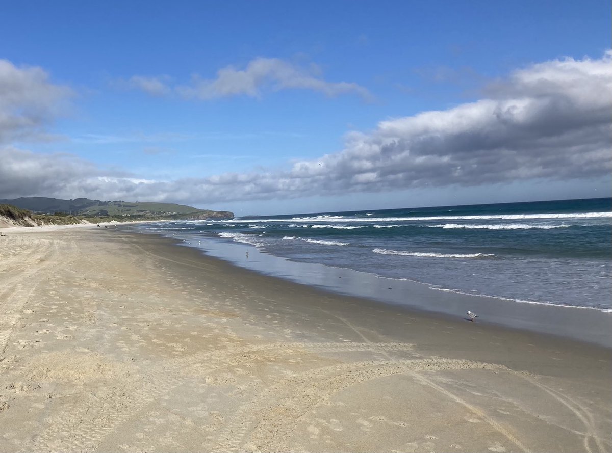 Mike Wall tweet media