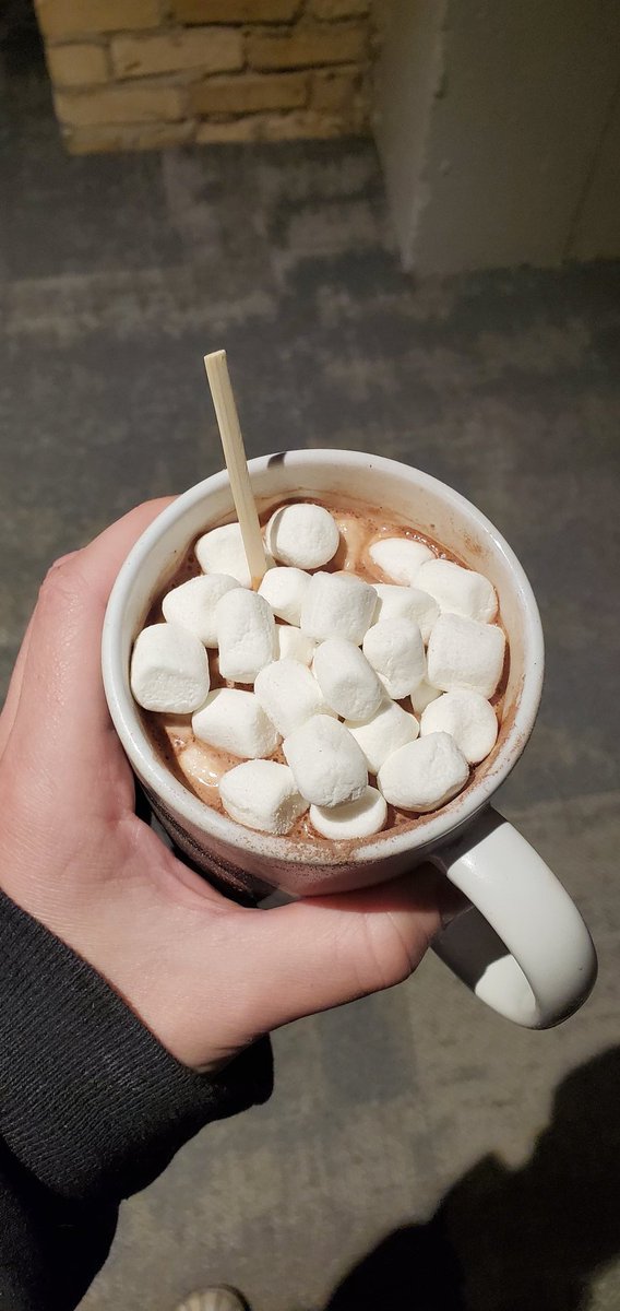 biddyrose27's tweet photo. combating the depression caused by predator football players still playing and transphobic writes still tweeting with hot chocolate at work https://t.co/N3B4cPDOtj