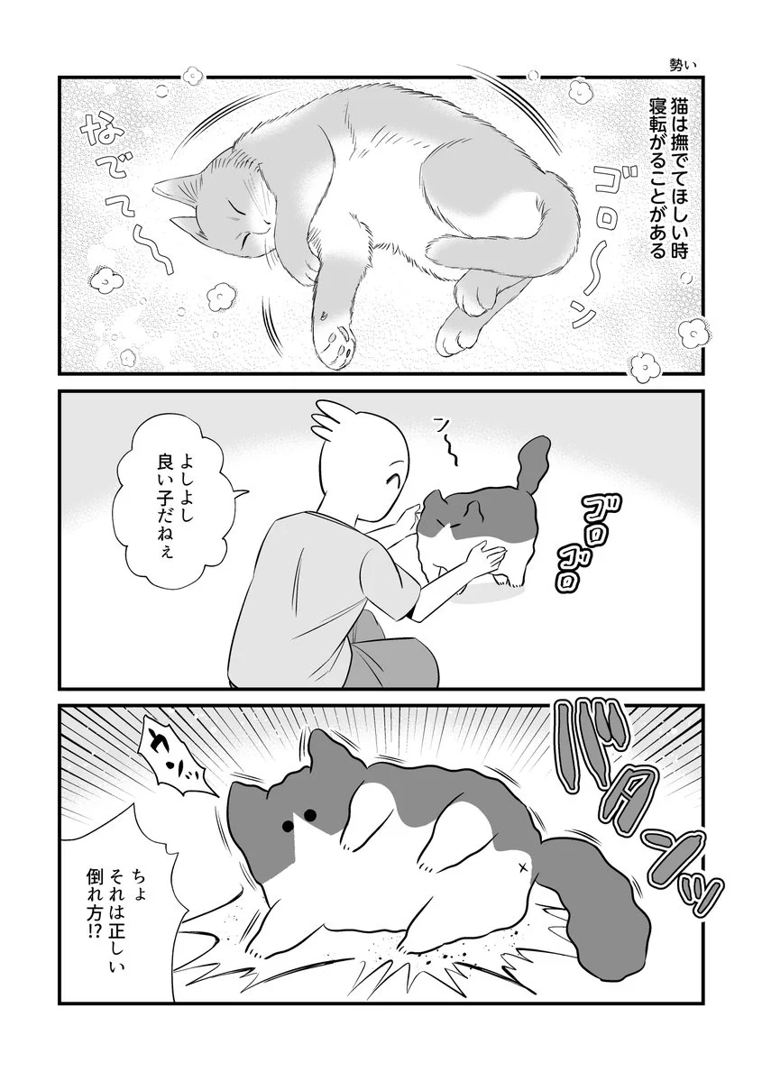 寝転がる時の勢いが良すぎて心配に･･･！可愛すぎる「猫漫画」が話題に！