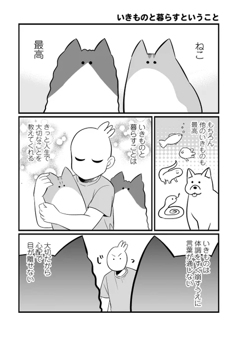 いきものと暮らすということ #再放流の日 