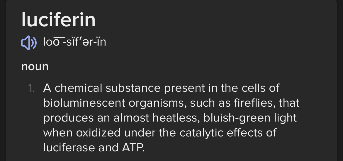 liz_churchill10's tweet photo. It is true that ‘Luciferin’ is in these ‘medical experiments’ that’s dissolved with 6.66 ml of distilled phosphate. It GLOWS…and for the Politicians…this will prove…that you Bastards took the Saline. Absolute Assholes. https://t.co/fJScdvVr9H