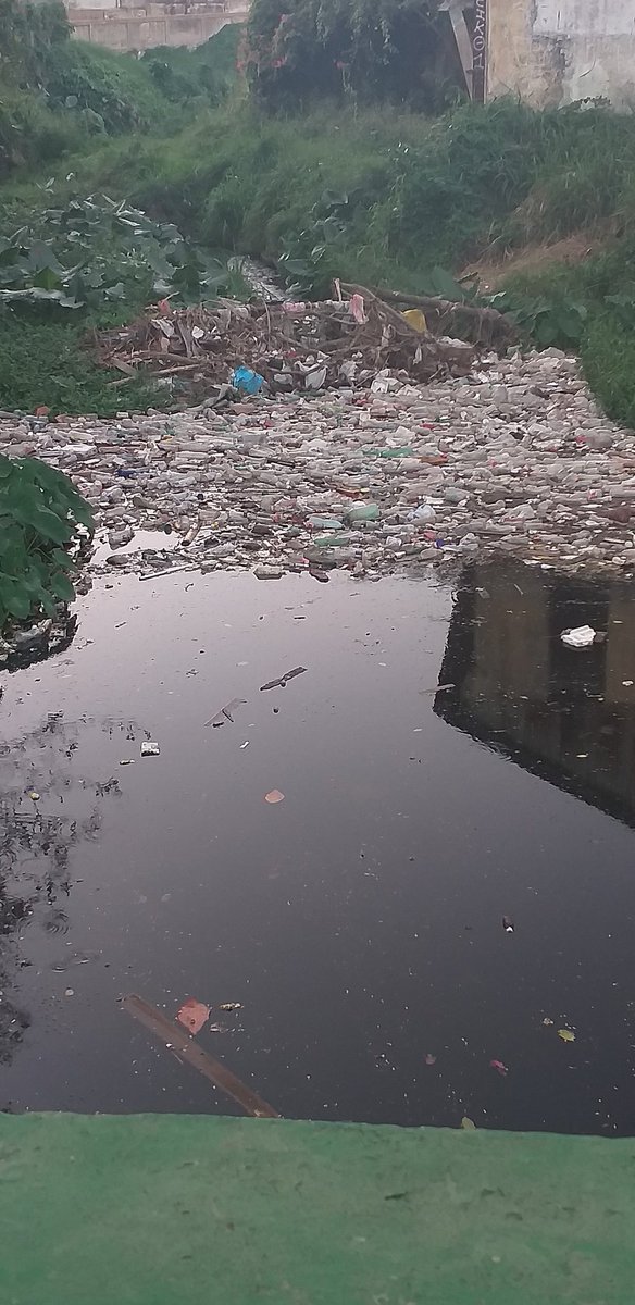 albertolg101's tweet photo. Me indigna ver cómo es posible la falta de conciencia social que lleva a que un río (específicamente el del puente de la cruz) se vea así 🤦🏻‍♂️. 

Probablemente esté tweet no llegue a nada pero si tienes alguna idea para resolver esto me encantaría leerlo. https://t.co/0iUaXP3I8B