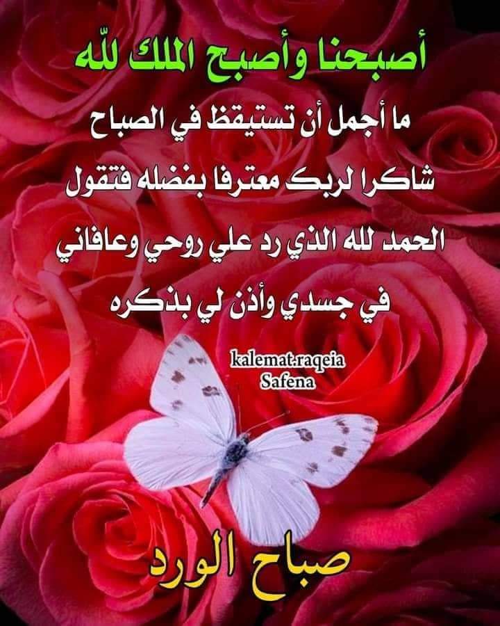 captenessam11's tweet image. 