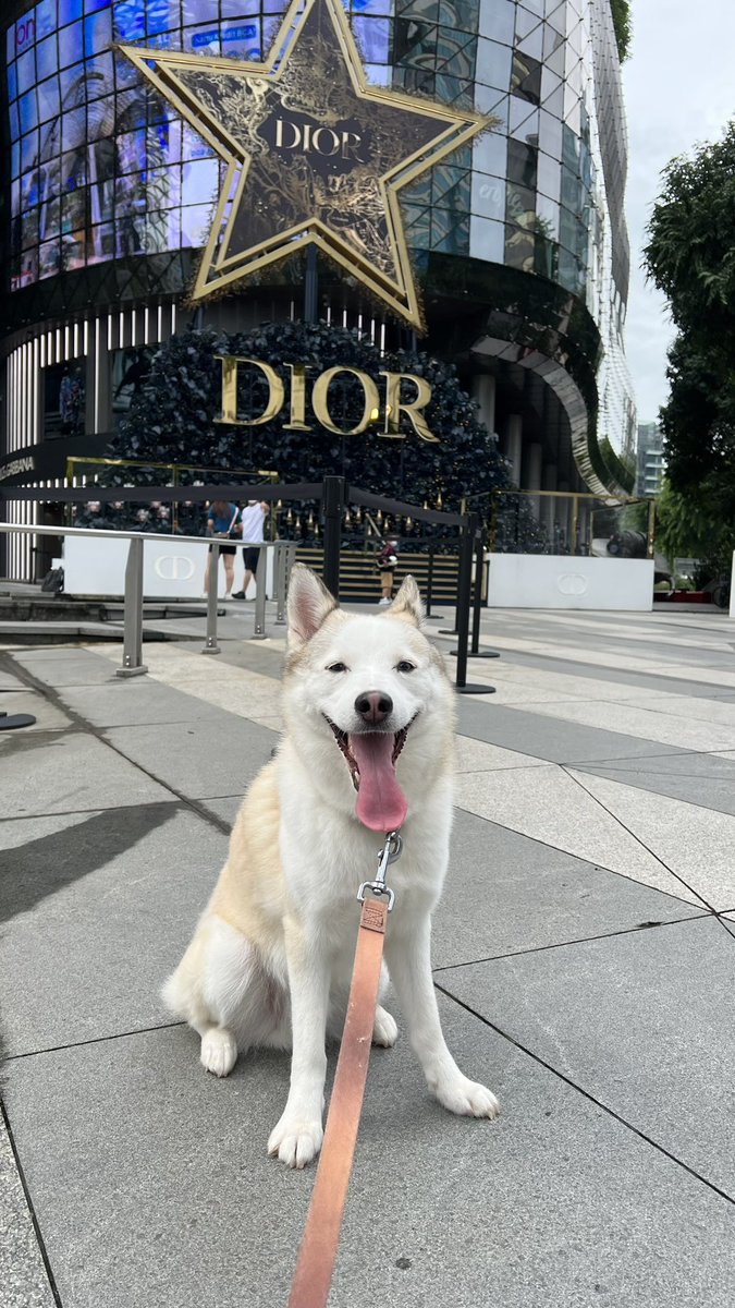 Xmas around the corner 🎅🏻