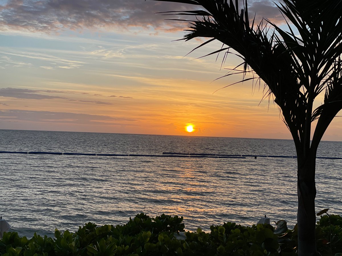 oneforthebird's tweet photo. Vacation is over and back to cold freezing weather🥶 😔😔 #ihatecoldweather https://t.co/lRLSbypiXn
