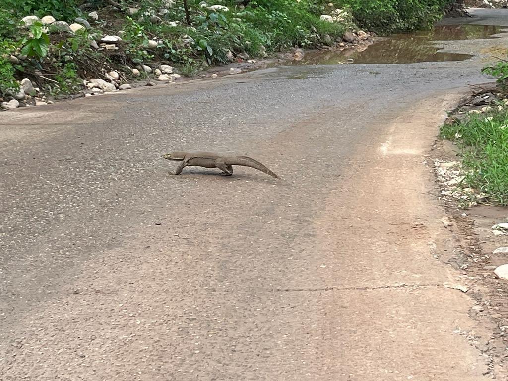 Nivedita tweet media