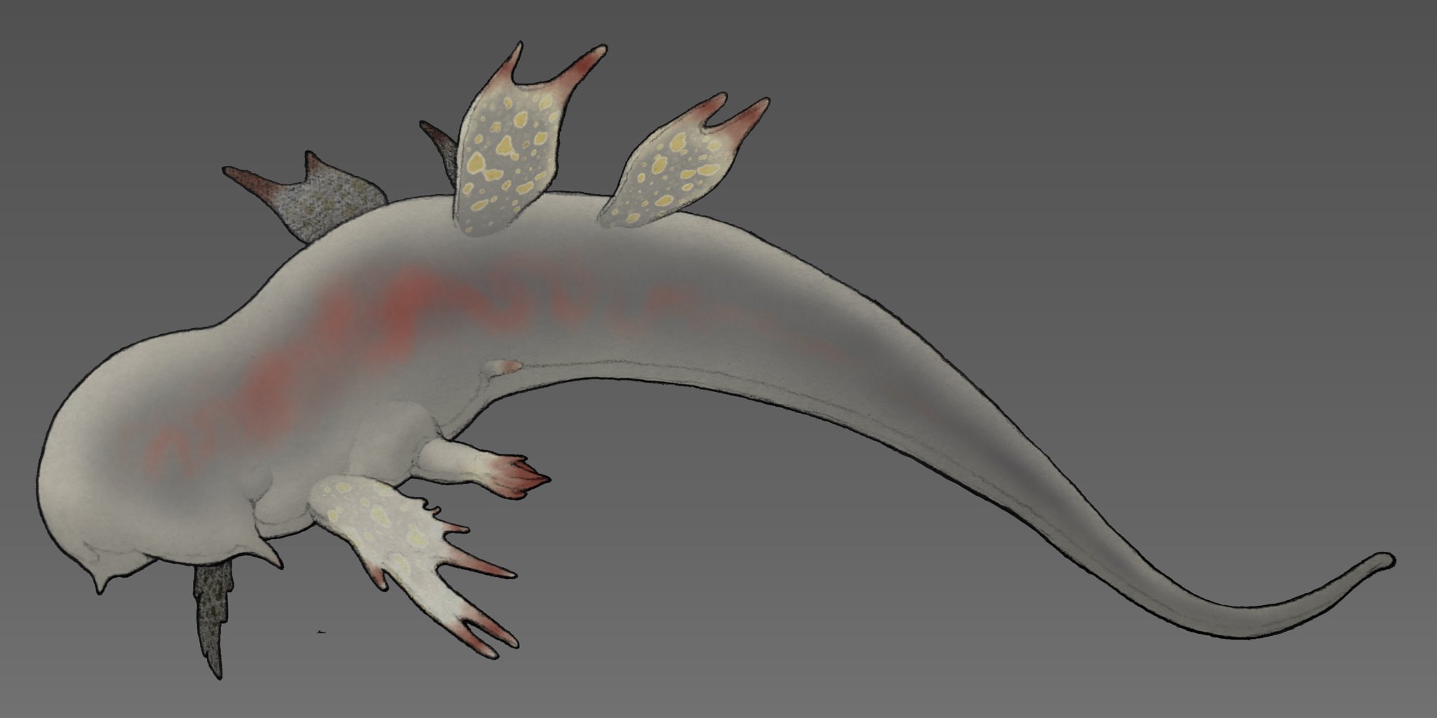 Speculative animal Bloop