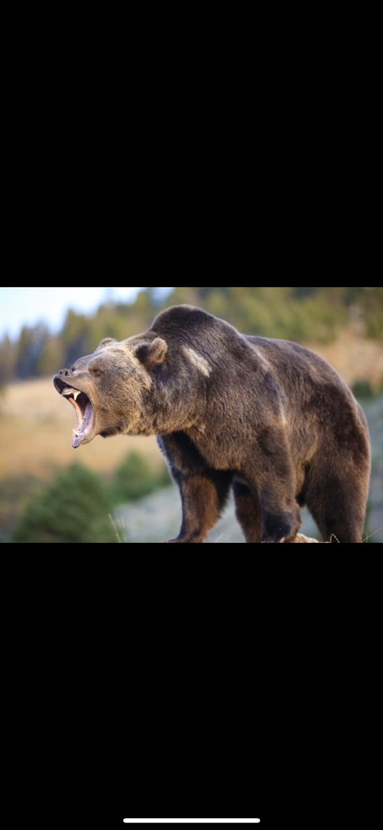 Jason Anderson tweet media