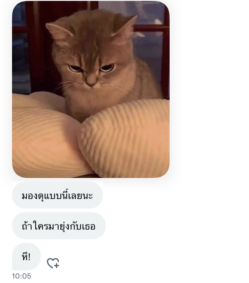 𝐙𝐄𝐑𝐎 ฟอลไปเพราะเธอมาลงชื่อ🫶🏻 tweet media