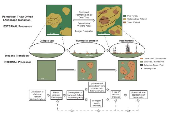 New paper documenting coupled landcover and hydrological change driven by permafrost thaw at Scotty Creek. Nice work Kristine, Ian, Brenden &amp; Olivia!
scottycreek.com/media/document…