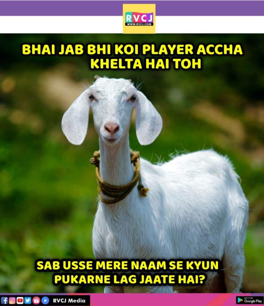 RVCJ Media on Twitter: RVCJ Media on Twitter:
