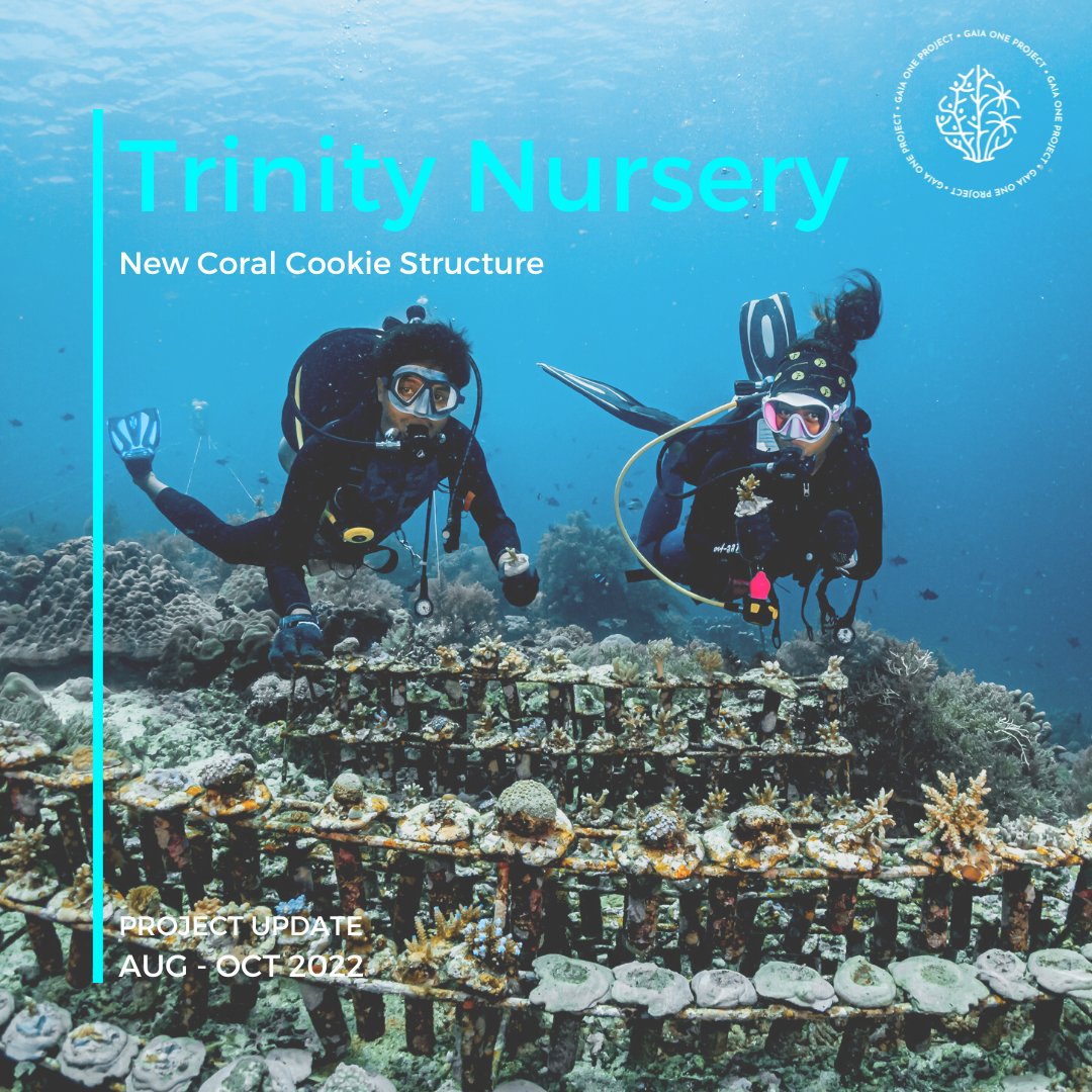 New Coral Cooke structure! We call this one Trinity Structure. Just like our <a href="/MythicalBeings_/">Mythical Beings NFT</a> 3 main pillars. 

It's got three levels and can grow 111 #coral fragments! Not only is it more cost effective but we can grow a variety of corals #Diversity for the win! #SaveTheReefs