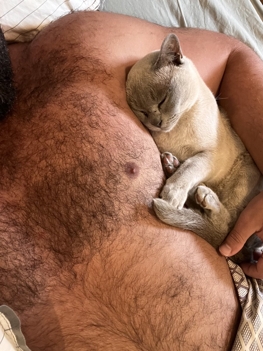 meatyhenri's tweet photo. Cuddle time https://t.co/YhRaGBZGD7