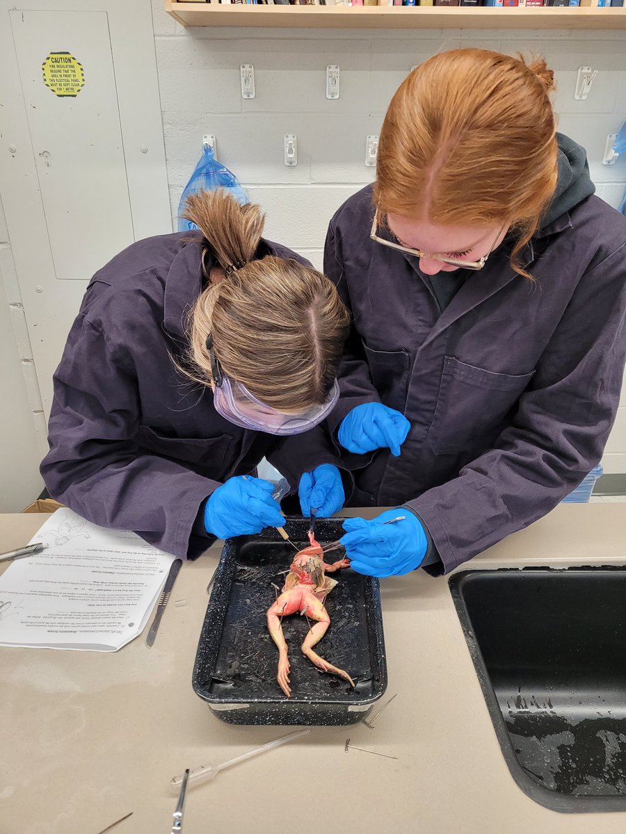 Madawaska Valley DHS tweet media