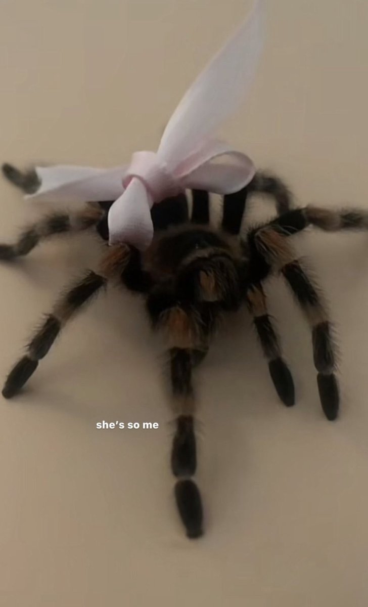 lindesource's tweet image. Maggie via her Instagram story!