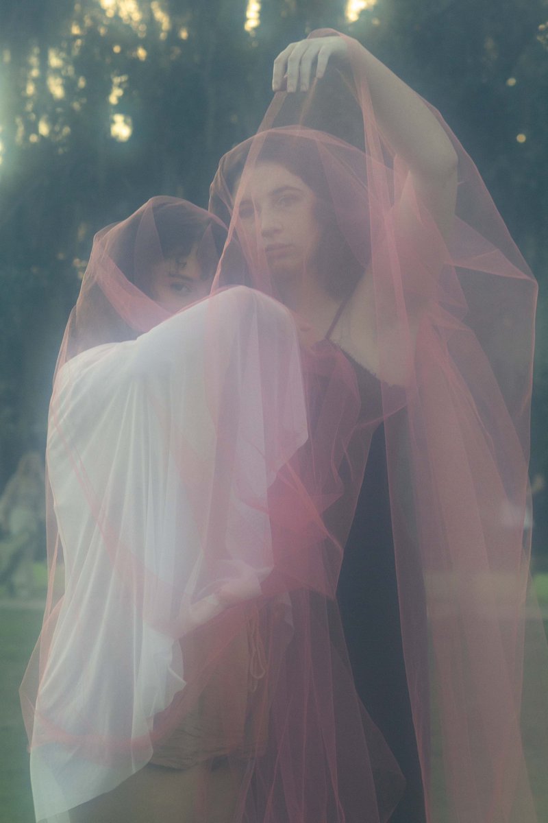 Ap (Ei-π) 🍉 tweet media