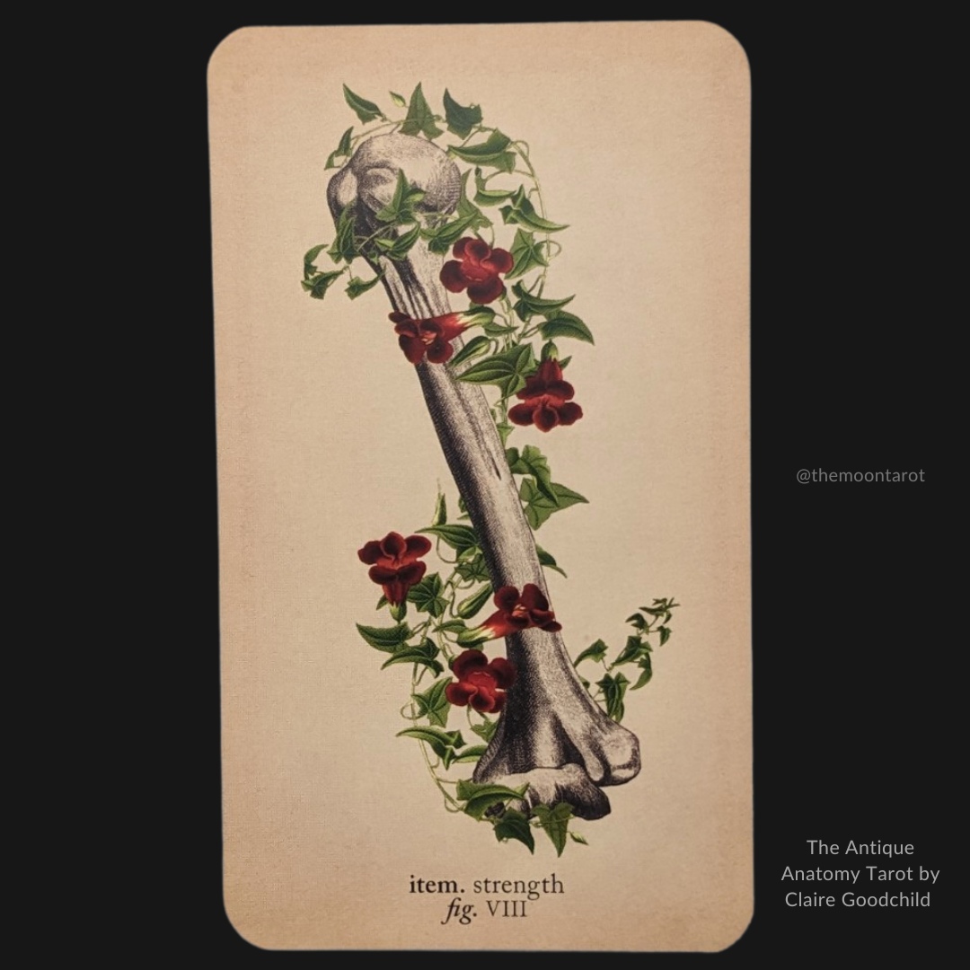 Today's Energy Reading: December 24th, 2022