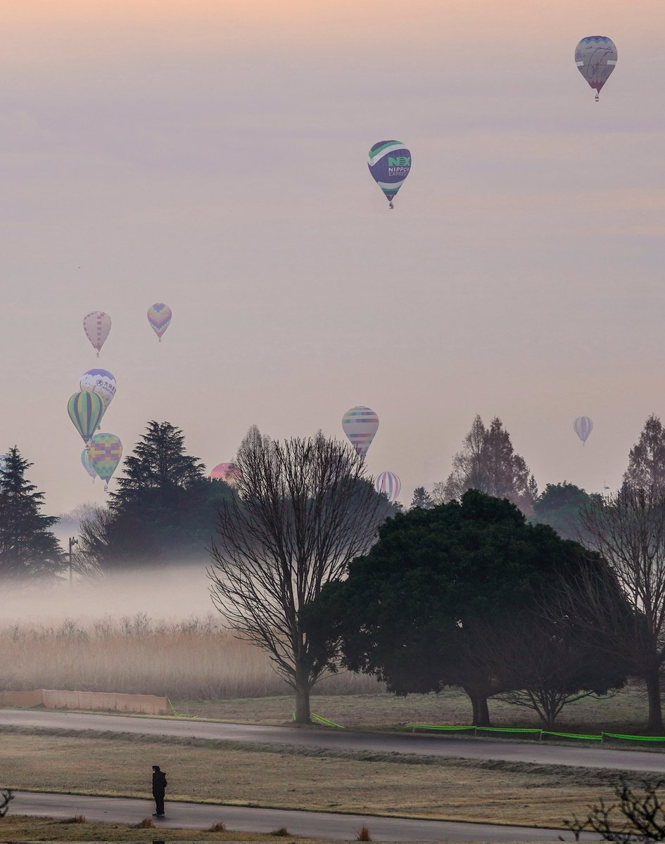 朝霧の中の気球🎈 幻想的でした✨ #渡良瀬バルーンレース #渡良瀬バルーンレース2022 #気球 #これソニーで撮りました