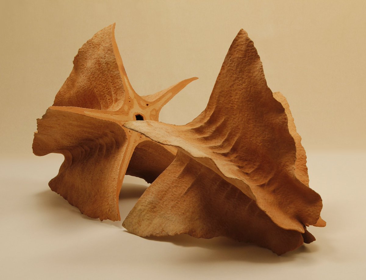 artindiamag's tweet photo. Magazine: Gardens in Indian contemporary art are contradictory sites of desire and excess, otherness and phantasmagoria, claims Pooja Savansukha. Read more in our issue 'The Garden': https://t.co/7cXrKZLPNg https://t.co/3O7dzCNaW3