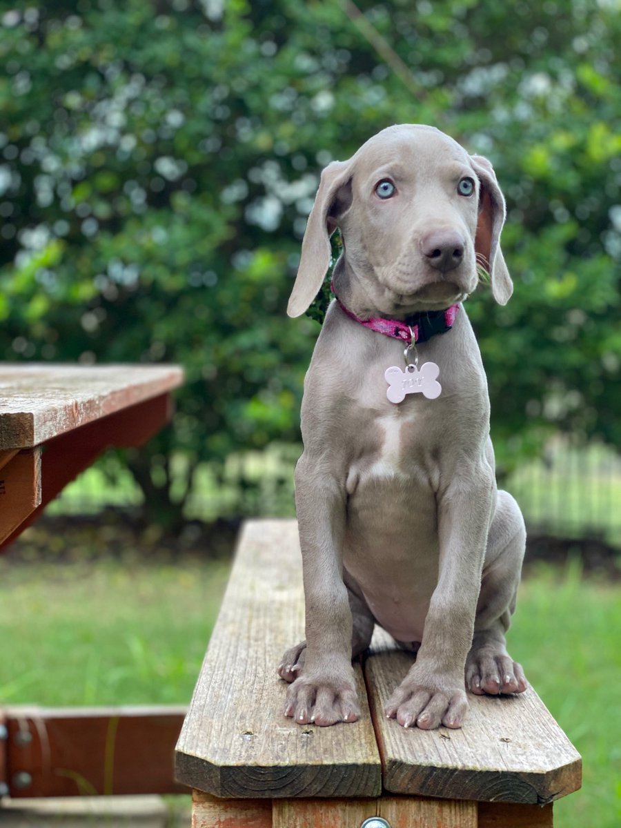 Brian Brushwood (@shwood) on Twitter photo 