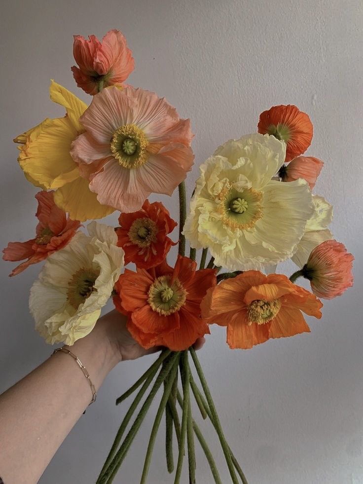 CH1SMEL0VERS's tweet photo. ­­­­­­­               ­­­­­­­­­­╰►@yakshacore

      「 Anónimo te manda un ramo de flores 」 https://t.co/48MT6r4PPW