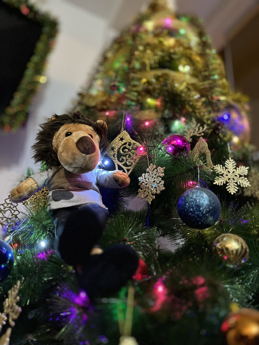 mfernandezga's tweet photo. Minomi 😍 decorating my Christmas tree🎄@ActorLeeMinHo ❤️ #ElReyEternoMonarca #Iloveyou https://t.co/mnpm5CAgzK
