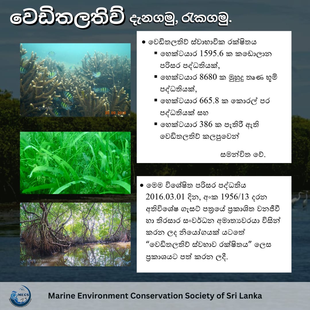 වෙඩිතලතිව් යනු ශ්‍රීලංකාවේ උතුරු පළාතේ මන්නාරම දිස්ත්‍රික්කයට අයත් ස්වභාවික පරිසර පද්ධතියකි. කඩොලාන, කොරල්, මුහුදු තෘණ වැනි ඉතා වටිනා පරිසර පද්ධතීන් ගෙන් අනූන අතිශය සංවේදී වෙඩිතලතිව් පරිසර පද්ධතිය  ආරක්ෂා කිරීම ඔබේත් මගේත් වගකීමක් වේ.
#vidattaltivu #veditallativu  #wedithalathiv