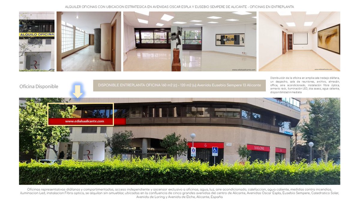 edialsa's tweet image. Office to let at strategic prime location, in Alicante centre, in a prestige building located between Alicante Port, International Airport, EUIPO and AVE Railway Station @edialsa