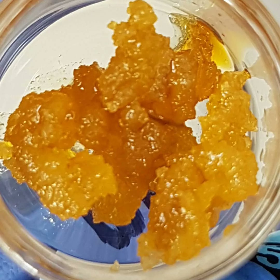 THCA Isolate
THCA Isolate Powder online ,250 grams of THCa Diamond Isolate with 99.2% potency. For each non-public and enterprise use. 420labextracts.com/thca-isolate/
#thcaisolate