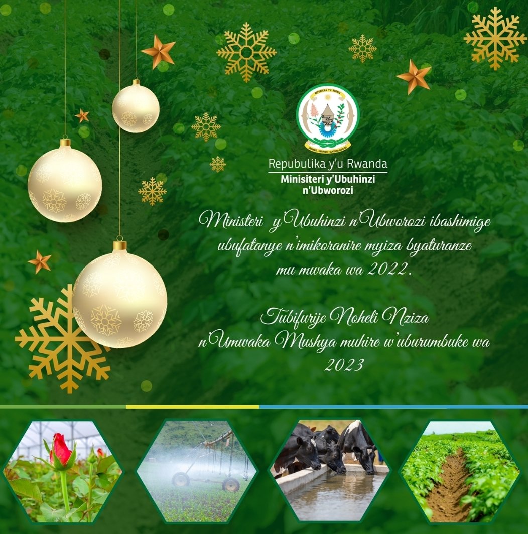 Patrick Karangwa, PhD (@p_karangwa) on Twitter photo Had a great evening yesterday at <a href="/RwandaAgri/">Ministry of Agriculture & Animal Resources |Rwanda</a> for #Christmas and New year best wishes with colleagues, on <a href="/RwandaAgri/">Ministry of Agriculture & Animal Resources |Rwanda</a> invitation. Thanks colleagues <a href="/illuminee_k/">Illuminée</a> <a href="/k_chris2005/">KanyandekweChristine</a> and <a href="/FabriceNdayise4/">Fabrice Ndayisenga</a> for the proposed nice pic! Thanks <a href="/RwandaAgri/">Ministry of Agriculture & Animal Resources |Rwanda</a> for the cordial & memorable evening 😍 Had a great evening yesterday at <a href="/RwandaAgri/">Ministry of Agriculture & Animal Resources |Rwanda</a> for #Christmas and New year best wishes with colleagues, on <a href="/RwandaAgri/">Ministry of Agriculture & Animal Resources |Rwanda</a> invitation. Thanks colleagues <a href="/illuminee_k/">Illuminée</a> <a href="/k_chris2005/">KanyandekweChristine</a> and <a href="/FabriceNdayise4/">Fabrice Ndayisenga</a> for the proposed nice pic! Thanks <a href="/RwandaAgri/">Ministry of Agriculture & Animal Resources |Rwanda</a> for the cordial & memorable evening 😍