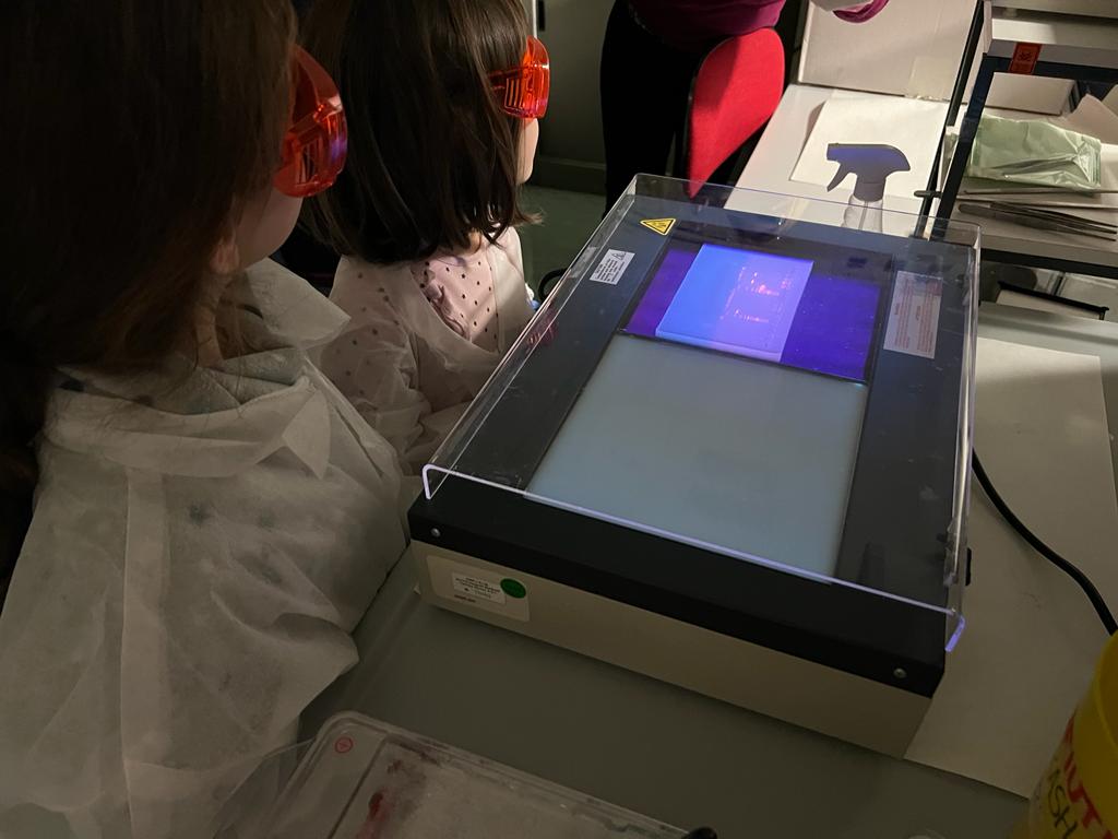 Dept. Biology and Biotechnology @UniPV (@dbb_unipv) on Twitter photo 🧪🧬🔬La biologia vista con gli occhi di un bambino💕 🧒👧! Due giovanissime ricercatrici hanno frequentato i laboratori del <a href="/DBB_UniPV/">Dept. Biology and Biotechnology @UniPV</a>!
#STEM #science <a href="/unipv/">Università di Pavia</a> 🧪🧬🔬La biologia vista con gli occhi di un bambino💕 🧒👧! Due giovanissime ricercatrici hanno frequentato i laboratori del <a href="/DBB_UniPV/">Dept. Biology and Biotechnology @UniPV</a>!
#STEM #science <a href="/unipv/">Università di Pavia</a>