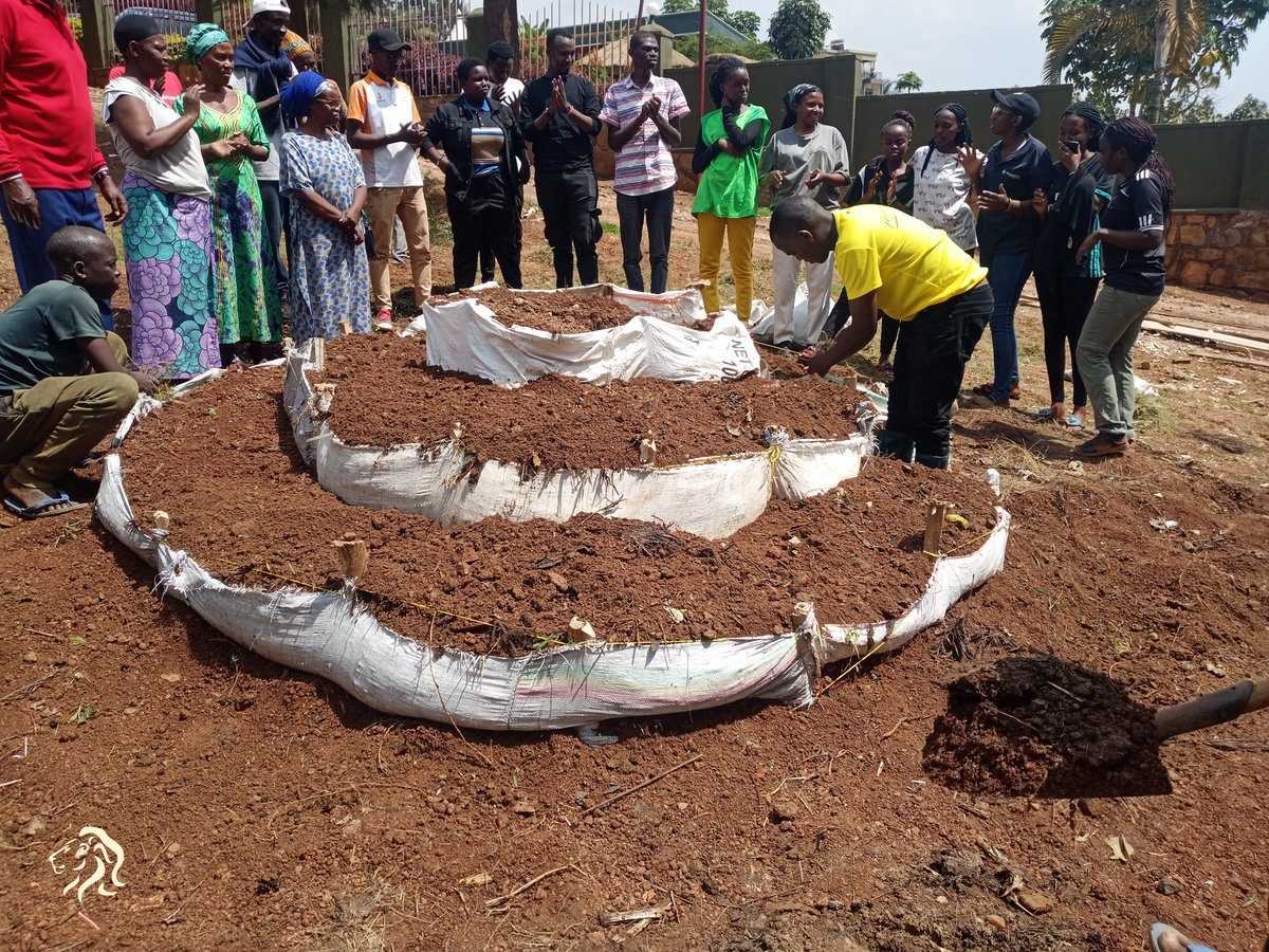 nyckanombe's tweet photo. None mu mudugudu w'akagera akagali ka kabeza umurenge wa Kanombe Urubyiruko ruri kurugerero rufatanyije n'ababyeyi b'umudugudu bubatse akarima k'igikoni k'umudugudu mu rwego rwo kurwanya imirire mibi n'igwigira ry'abana.
@NYC_kicukiro @KanombeSector https://t.co/RuN6YDwjzh