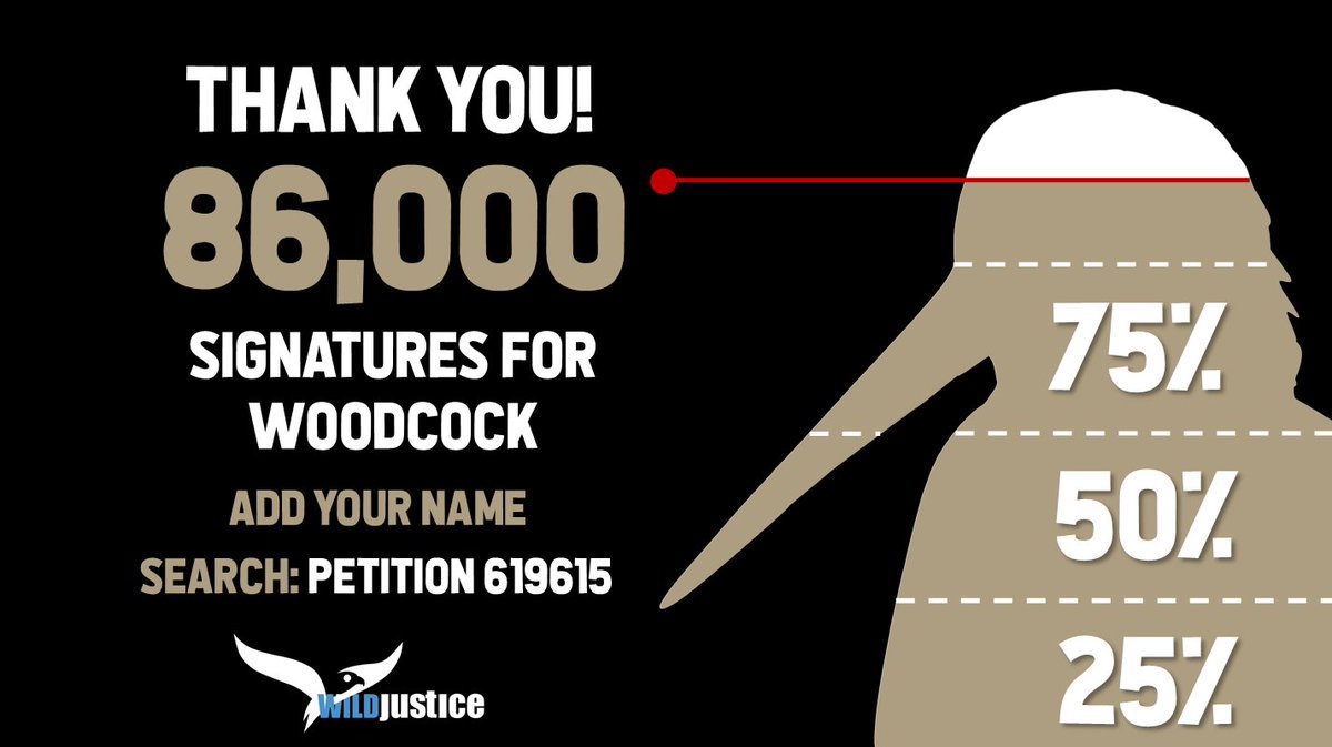 That's now 86,000 signatures on our petition to change the shooting season for Woodcock! Thank you so much - we're nudging towards 90K. Please do keep spreading the word, and sharing the petition with friends and family: petition.parliament.uk/petitions/6196…