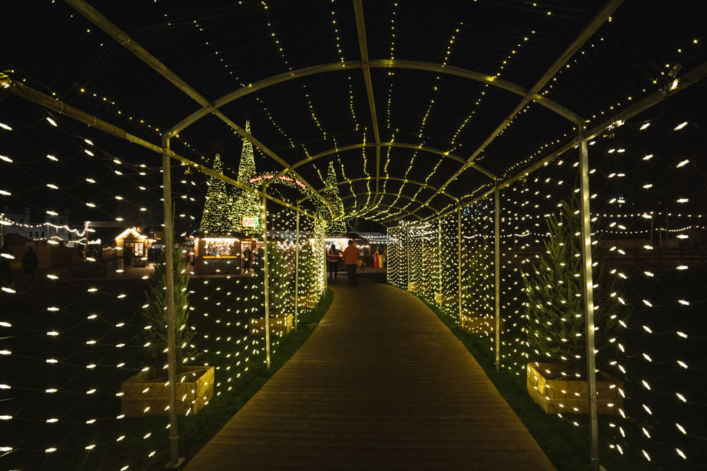 Winter Wonderland tweet media