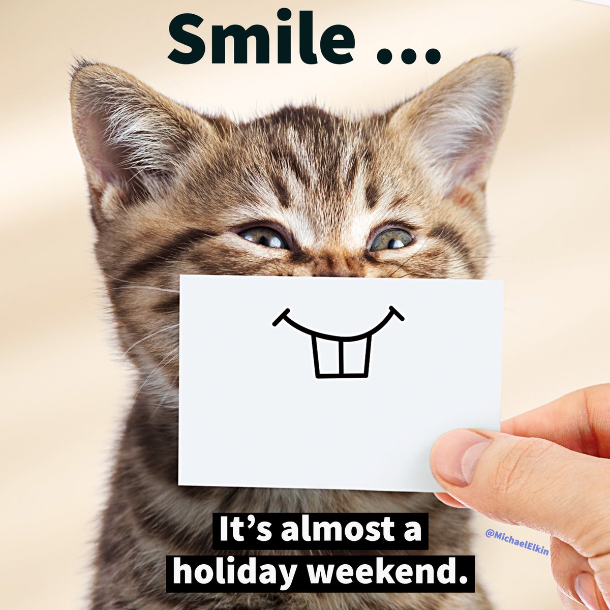 MichaelElkin's tweet photo. Wishing everyone an amazing Thursday!!😀 #cats #holidayseason https://t.co/0x86GNgn90