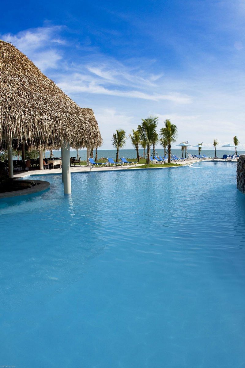 TsarEvents's tweet photo. 2/10 Bijao #Beach Resort, located in Santa Clara, Rio Hato, integrates the #Evenia Hotels vacation resort offer https://t.co/9oDTKGErGE #hotel #travel #nft #nfts #holiday #bitcoin #resort #design #interior #panama #architecture #tourism #spa #turismo #luxuryhotel https://t.co/eI3QLYSxUc