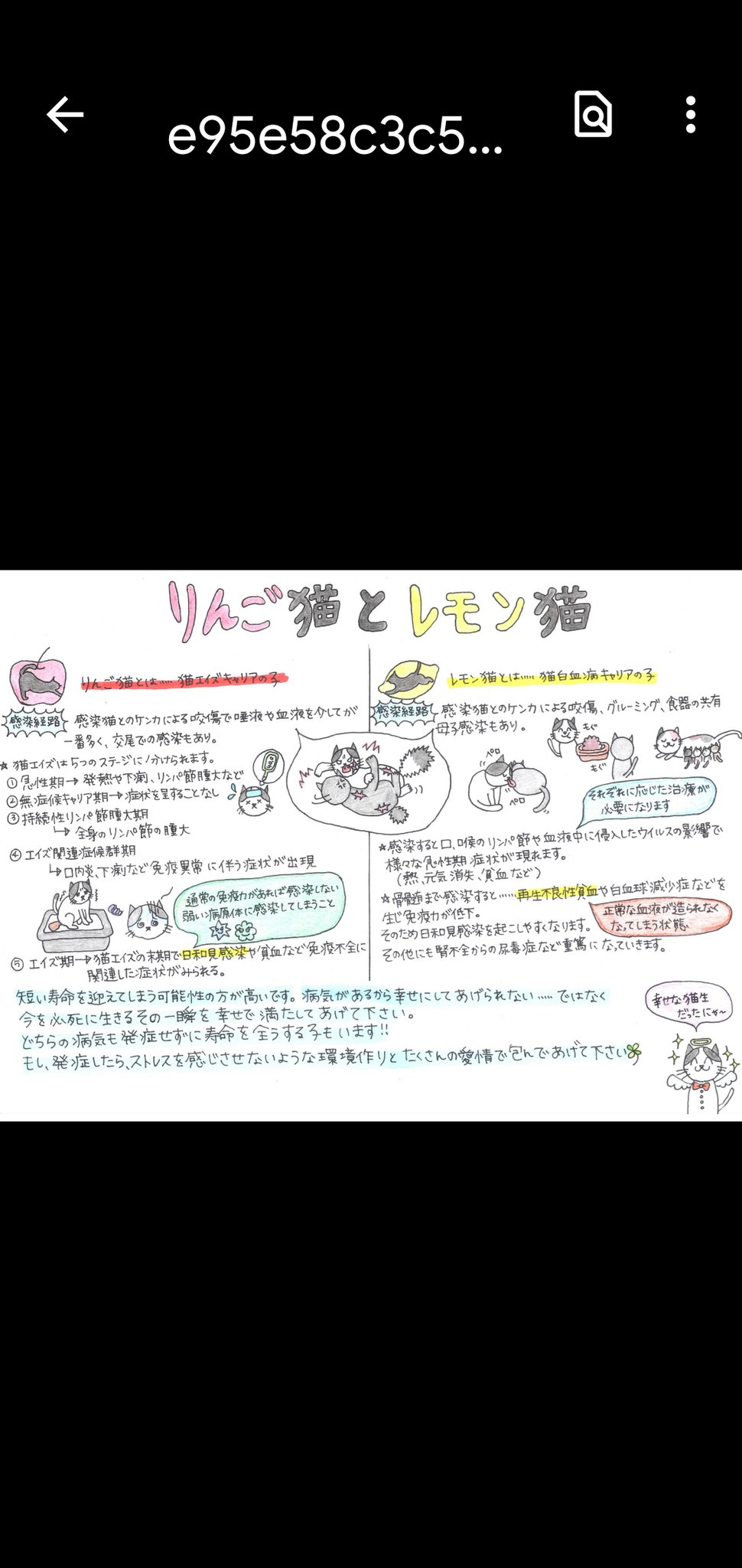 白血病猫 Twitter Search Twitter