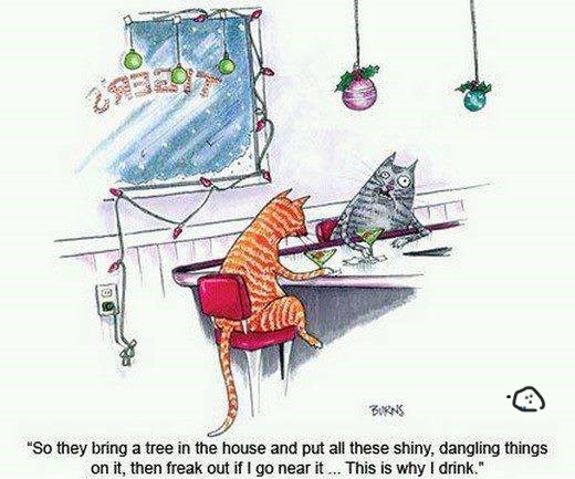 PatWardMagic's tweet image. 