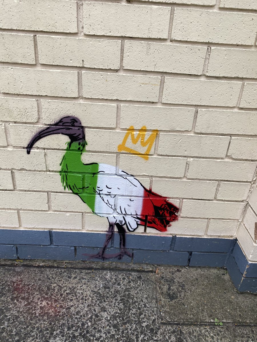 Lurking Thru Leichhardt today and found this dirty bird - was I first <a href="/bin_kingz/">Bin Kingz 🇦🇺</a> 🙏🏼