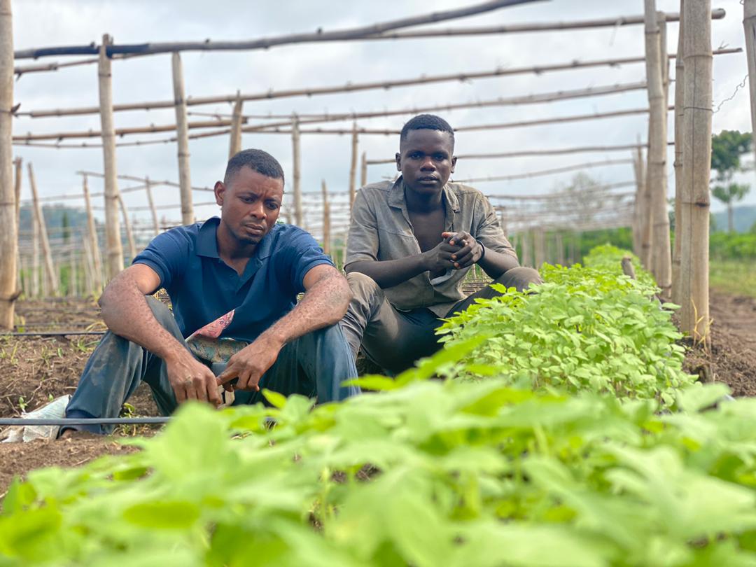 Fineboyfarmer's tweet photo. In every sphere of life, make sure you hold on to dedicated workers. They make your work worth the attention and push. More importantly,  they give you the spark to continue not minding unavoidable strains. #feedthenation #fineboyfarmer #AgricultureNugget https://t.co/t5WTdUq02w