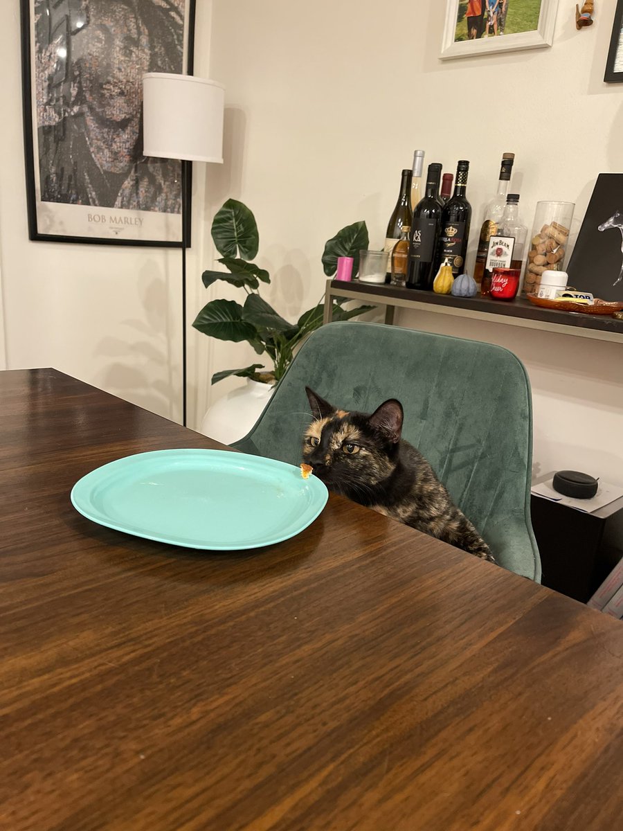 cattitudess's tweet photo. At home dinner date with my bb 🫶🏼 https://t.co/RYckSZz8RA