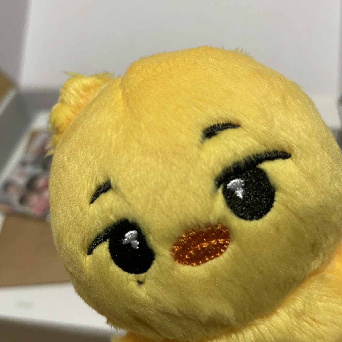 뿅캉이랑 시그까는중💛