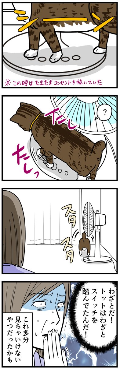 季節外れだけど…
扇風機のスイッチを踏む猫(トット)の話です。
賢かった。
 #猫漫画 #エッセイ漫画 