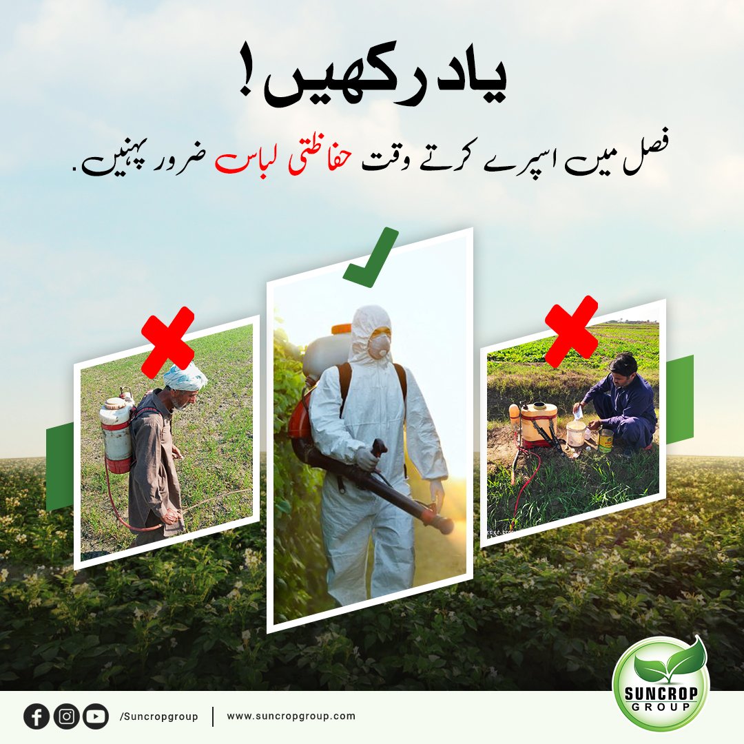 suncrop_group's tweet photo. یاد رکھیں!

مزید معلومات کے لیے ہماری ہیلپ لائن پر فری کال کریں یا اپنا سوال، فون نمبر اور اپنے شہر کا نام کمنٹ بکس میں لکھیں. ہیلپ لائن:080058000

#safetyfirst #safetywear #safe #seeds #development #agriculture #suncrop #farmers #bestquality 
https://t.co/gPvQYuR2it https://t.co/ZrWRknMJnr