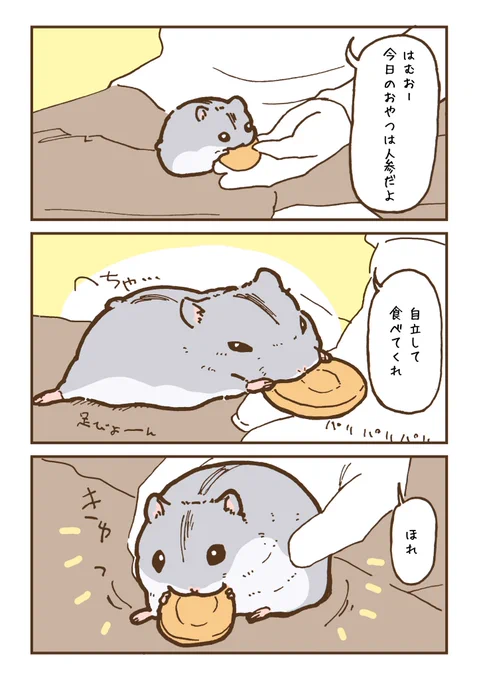 ハムスター、オヤツに夢中になりすぎること多々あるよね
 #ハムスターのいる暮らし 